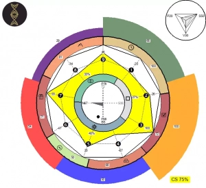 Exemple de résultat Egokode Orientation